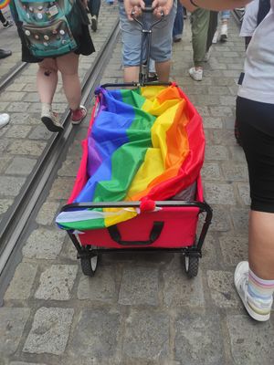 Mache ein Foto / Lade ein Foto hoch