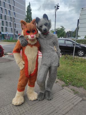 Mache ein Foto / Lade ein Foto hoch